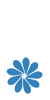 公司风采
